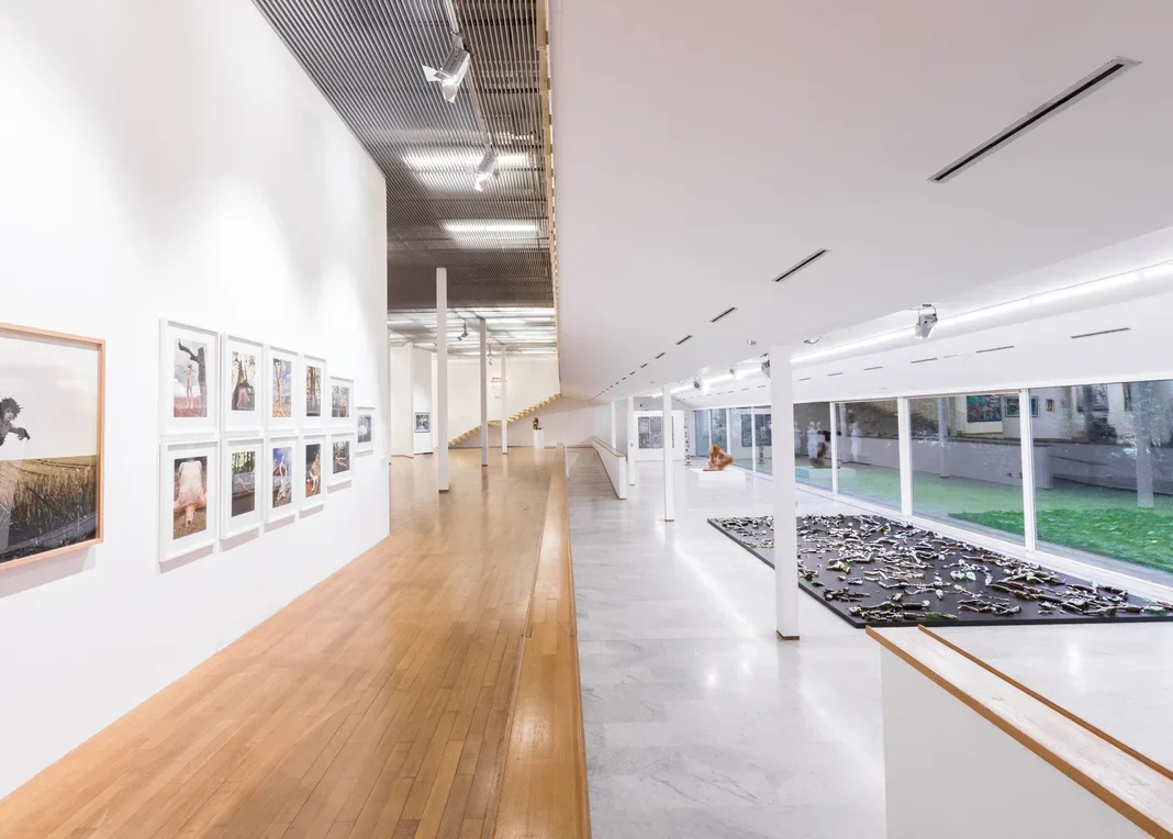 Explore the modern art gallery: visual cultural projects with framed photos and a long white corridor dedicated to contemporary sculptures.